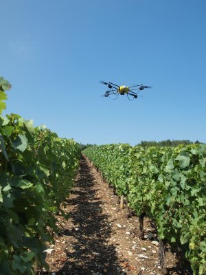 Pairing drones with high-res multispectral sensors and neuronal processers is part of an ambitious project aiming to better detect and treat vine diseases. Combined with precision spraying technologies, this allows for greater agility and efficiency in treating present and emerging threats to vine health that climate change could exacerbate.  (Image taken in France, supplied by Novadem)